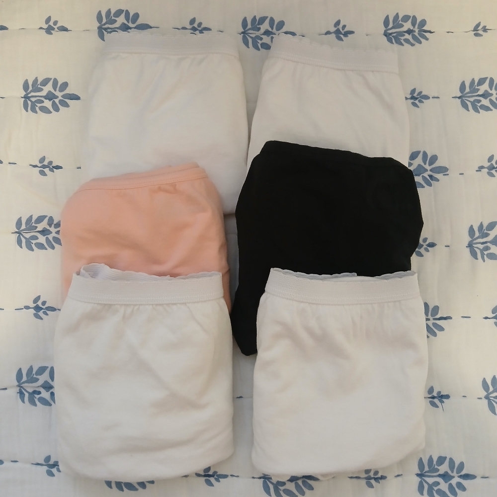 Lot of 6 Plus Size Cotton Brief Panties Size 10 2X Hanes & Unbranded